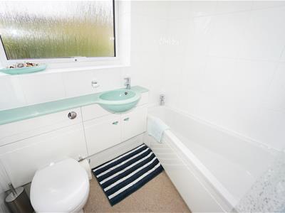Picture 17